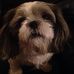 Tommy LoBello - Facebook