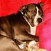 Thomas Loeper - Facebook