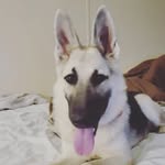 Logan Thomas Lofton - @lofton_albino - Instagram
