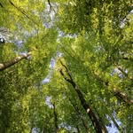 Martin Loidolt - @martinthomasloidolt - Instagram