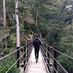 Thomas Loke - @thomas.loke.98 - Instagram