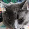 Thomas Slonaker - @thomas.slonaker - TikTok