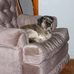 Thomas Lonchar - Facebook