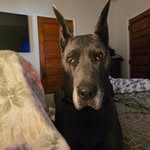 Thomas Loney - @loney4275 - Instagram