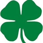 Thomas Moloney Masonry Co. - @thomasmoloneymasonry - Instagram