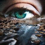 Thomas J Longfellow - @thomasjlongfellow - Instagram