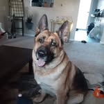 Thomas Longfellow - @thhoommaasssss - Instagram