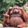 Thomas.Longman - @thomas.longman - TikTok