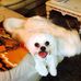 Tom Longoria - Facebook