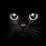 Thomas Longson - Facebook