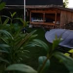 Thomas Daugbjerg Lorentzen - @thomas.d.lorentzen - Instagram