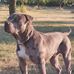 Thomas Lösch - Facebook
