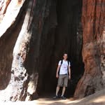 Thomas Losinger - @thomaslosinger - Instagram