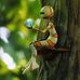 Thomas Loughney - Facebook