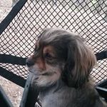 Thomas Lowry - @thomas.lowry.14289 - Instagram