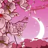 thomas lowry - @thomas.lowry5 - TikTok