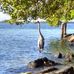 Thomas Luckett - Facebook