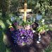 Thomas Luft - Facebook