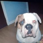 Thomas Lumsden - @lumsden_thomas - Instagram