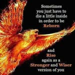 Thomas Luter - @thomas.luter - Instagram