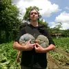 Thomas Lyons - @thomaslyons125 - TikTok
