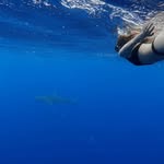 Thomas Maberry - @piloloidaya3 - Instagram