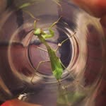 Thomas Macauley - @thomasmacauley - Instagram