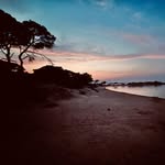 Thomas Stewart - @thomas_macbeth_stewart - Instagram