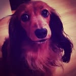 Thomas Macho - @thomas_macho124 - Instagram