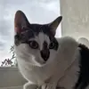 thomasmachowski - @thomasmachowski - TikTok