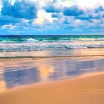 ThomasMacLeod - @thomasmacleod3 - Instagram