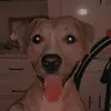 Tomas Madera - @tomimadera - TikTok