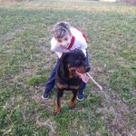 thomas madonia - @thomas_madonia - Instagram