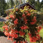 Thomas Magnuson - @2thomas_magnus - Instagram