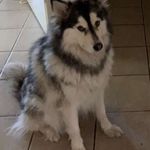 Thomas Mahady - @tpmahady - Instagram