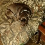 thomas mahaney - @thomas.mahaney - Instagram