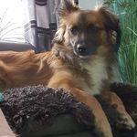 Thomas Mahr - @thomas.mahr.65 - Instagram
