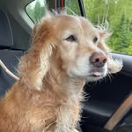 Thomas Parrot-Mainville - @thomasparrotmainville - Instagram