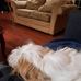 Tom Mainville - Facebook