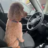 thomas_maisano - @thomas_maisnao2 - TikTok