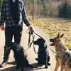 Thomas Malmberg523 - @thomasmalmberg523 - TikTok