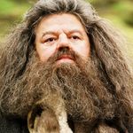 Thomas Malmberg - @morfar_hagrid - Instagram