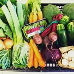 Thomas Mann's Fruit and Veg - @thevegmann - Instagram