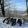 Thomas Manske - @wimafia - TikTok