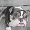 Thomas Manuel - @thomas.manuel2 - TikTok