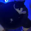 Thomas Marandola - @thomas.marandola - TikTok
