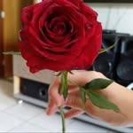 Thomas Marcus Alberto - @thomasmarcusalberto - Instagram