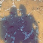 Thomas Marie - @thomas.marie61 - Instagram