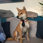 Thomas Marie - @thomas.marie.3979 - Instagram
