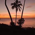 Thomas Marien - @thomas.marien.794 - Instagram